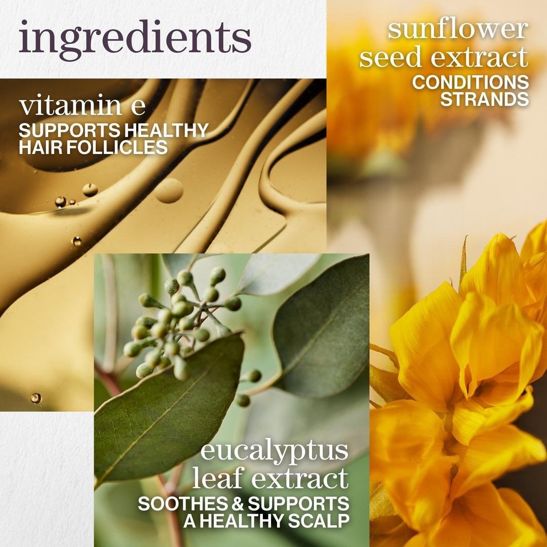 Pureology Anti - Fade Complex Pure Volume Shampoo 9oz - Usa Pro Hair