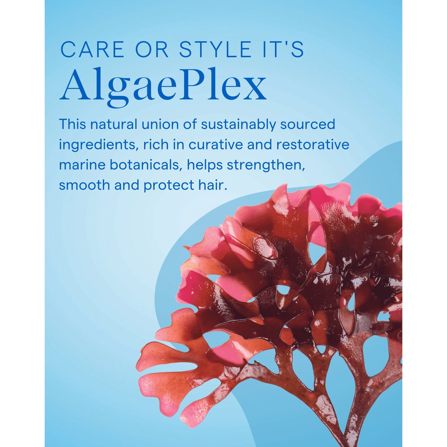 Aquage SeaExtend Silkening Oil Treatment, 4 oz - Pack of 2