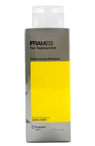 Framesi Ramesi Hair Treatment Line Restructuring Shampoo, 8.5 Ounce - Usa Pro Hair